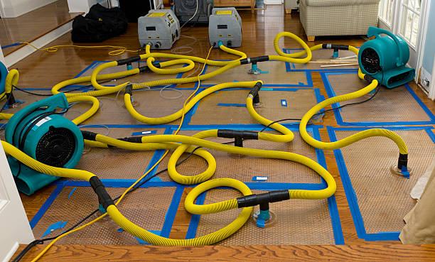 Professional Water Extraction technician working in Weston, MA